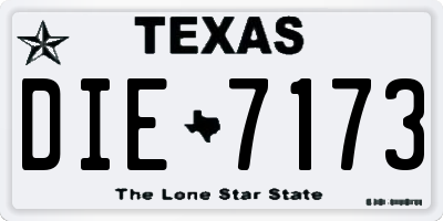 TX license plate DIE7173