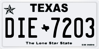 TX license plate DIE7203