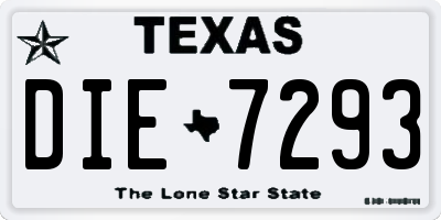 TX license plate DIE7293