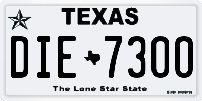 TX license plate DIE7300