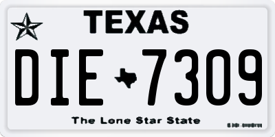 TX license plate DIE7309