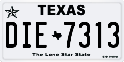 TX license plate DIE7313