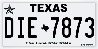 TX license plate DIE7873