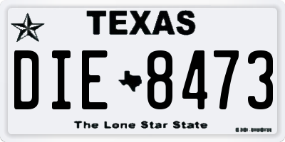 TX license plate DIE8473