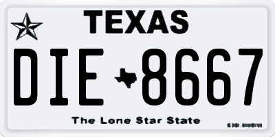 TX license plate DIE8667