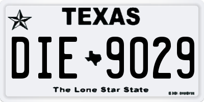 TX license plate DIE9029