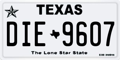 TX license plate DIE9607