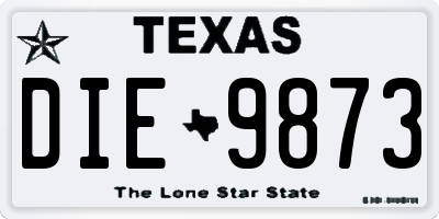 TX license plate DIE9873