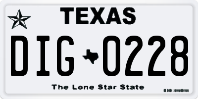 TX license plate DIG0228