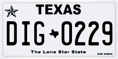 TX license plate DIG0229