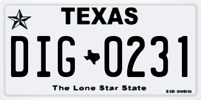 TX license plate DIG0231