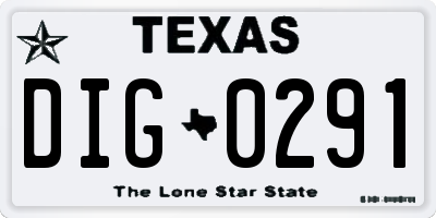 TX license plate DIG0291