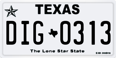 TX license plate DIG0313