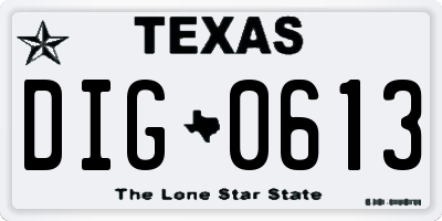 TX license plate DIG0613