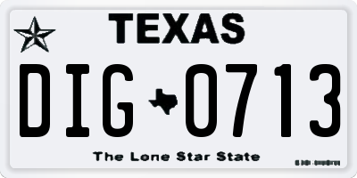 TX license plate DIG0713