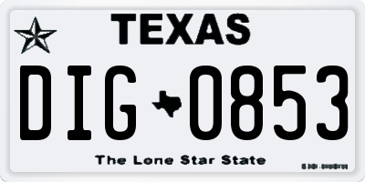 TX license plate DIG0853