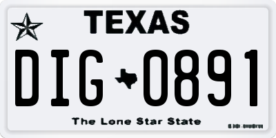 TX license plate DIG0891