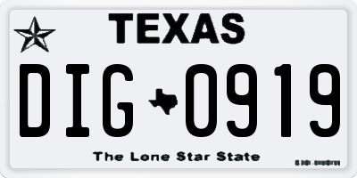 TX license plate DIG0919