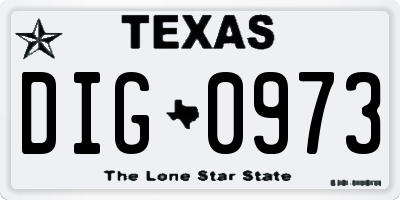 TX license plate DIG0973