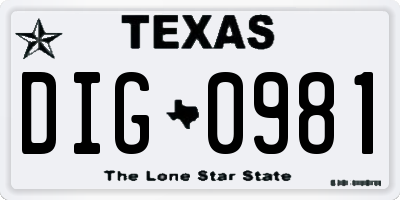 TX license plate DIG0981