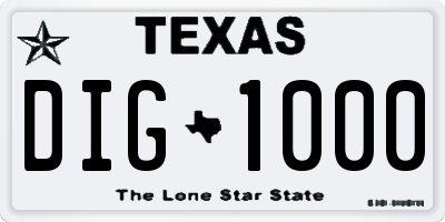 TX license plate DIG1000