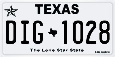 TX license plate DIG1028