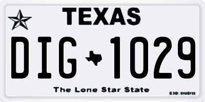 TX license plate DIG1029