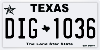 TX license plate DIG1036