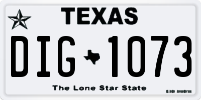 TX license plate DIG1073