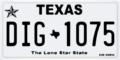 TX license plate DIG1075