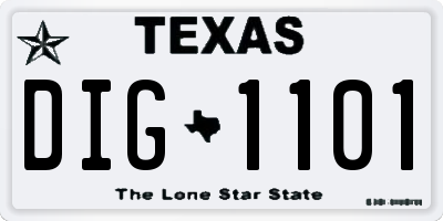 TX license plate DIG1101
