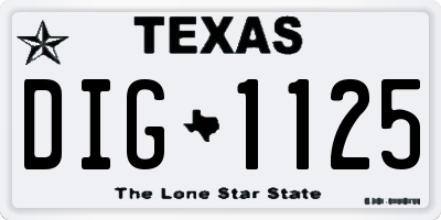 TX license plate DIG1125