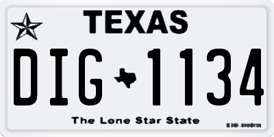 TX license plate DIG1134