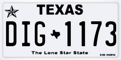 TX license plate DIG1173