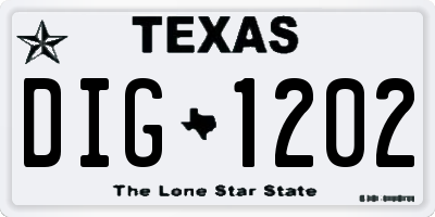TX license plate DIG1202