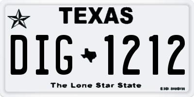 TX license plate DIG1212