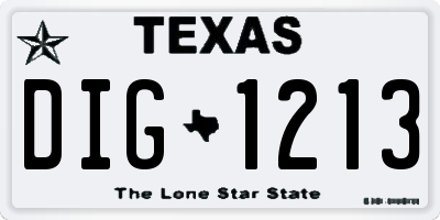 TX license plate DIG1213