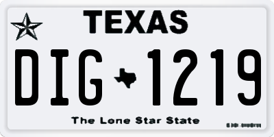 TX license plate DIG1219