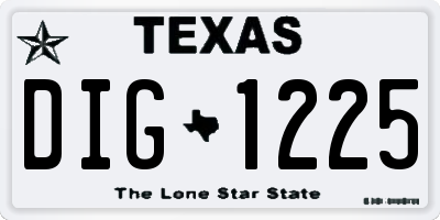 TX license plate DIG1225