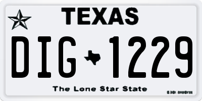 TX license plate DIG1229