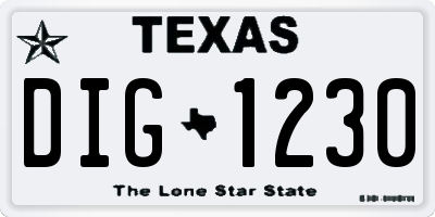 TX license plate DIG1230