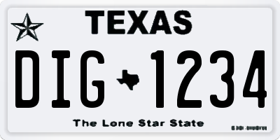 TX license plate DIG1234