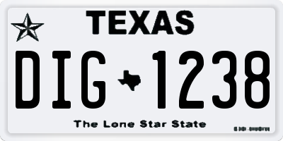 TX license plate DIG1238