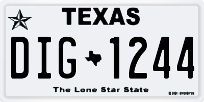 TX license plate DIG1244