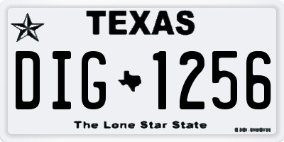 TX license plate DIG1256