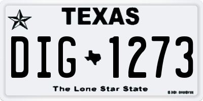 TX license plate DIG1273