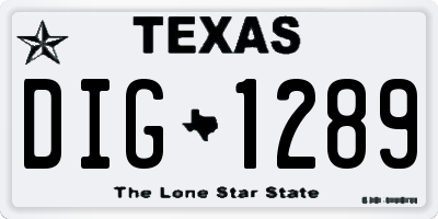TX license plate DIG1289