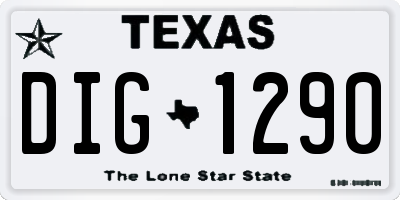 TX license plate DIG1290