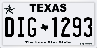TX license plate DIG1293
