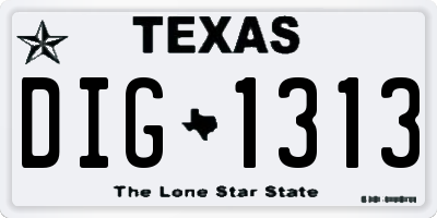 TX license plate DIG1313